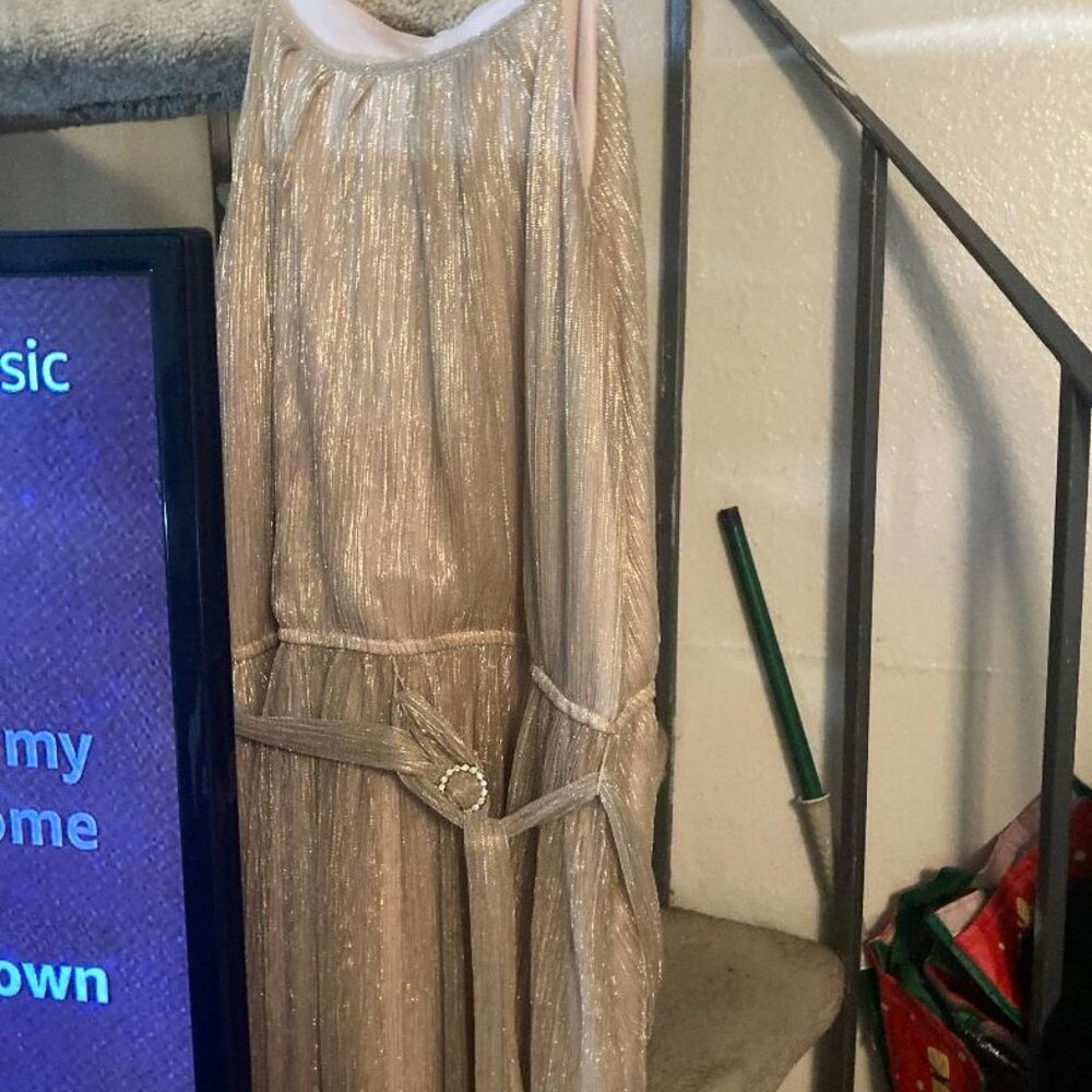 GOLD EVENING GOWN 18W ALEXA B NITES